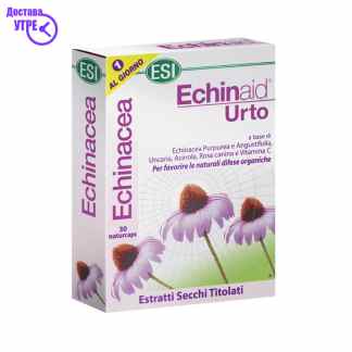 Esi echinaid *urto*, 30 капсули Имунитет Kiwi.mk
