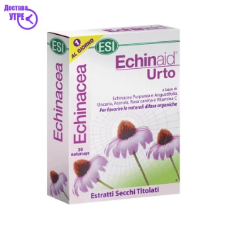 Esi echinaid *urto*, 30 капсули Имунитет Kiwi.mk
