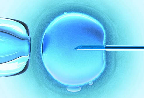 bio_poli_6 bio_poli_6