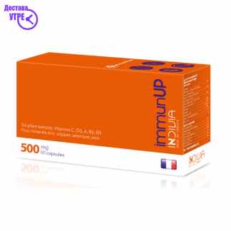 Immun up 500 mg капсули, 60 Имунитет Kiwi.mk