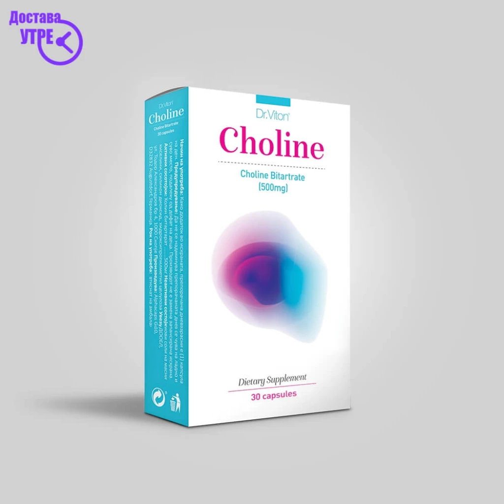 Dr. viton choline 500 mg капсули , 30 Нервен систем Kiwi.mk