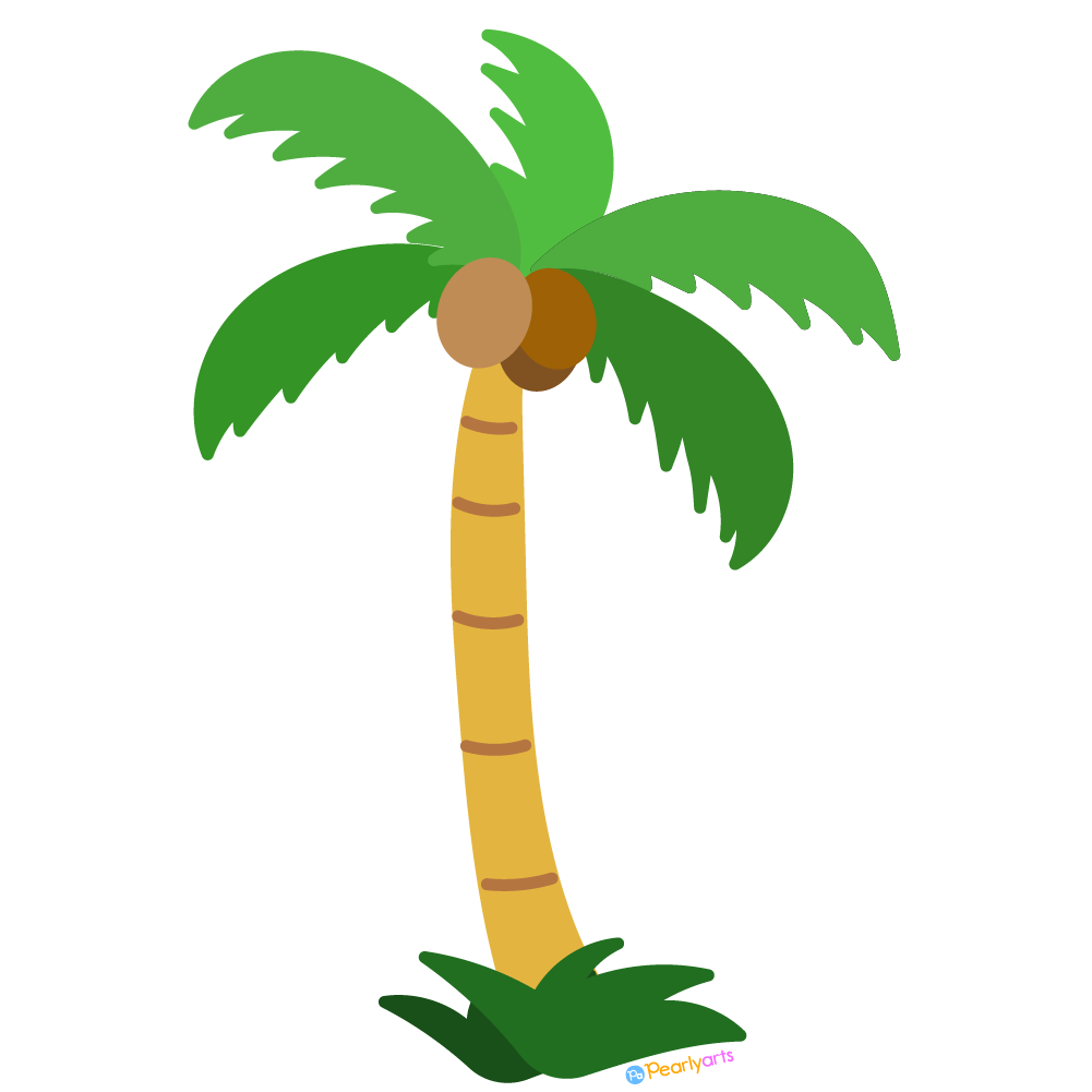 Palm Tree