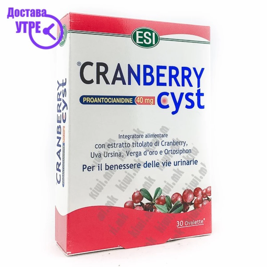 Esi cranberry cyst таблети, 30 Антиоксиданси Kiwi.mk